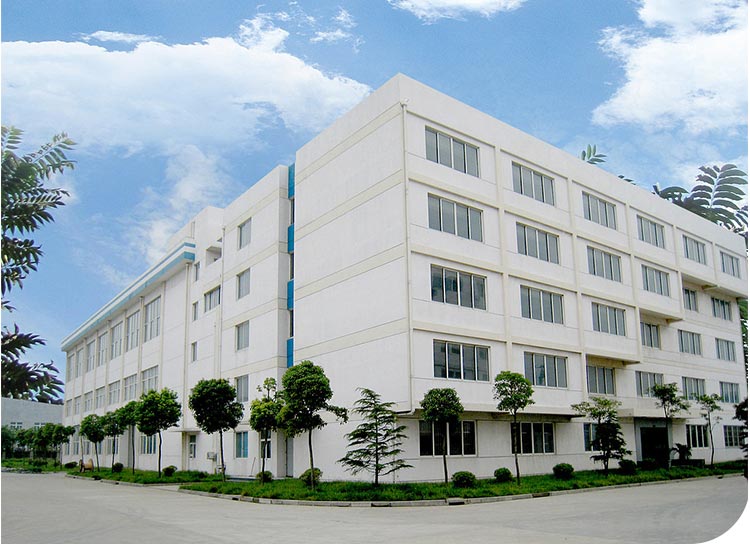 Founded in 2015