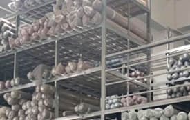 Lace Production And Purchase